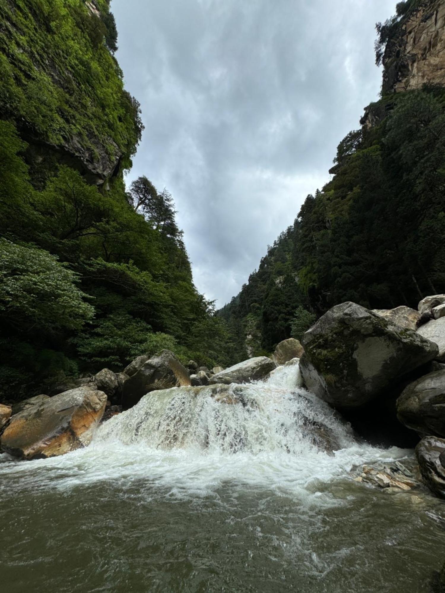 Delight Homestay Kasol Esterno foto