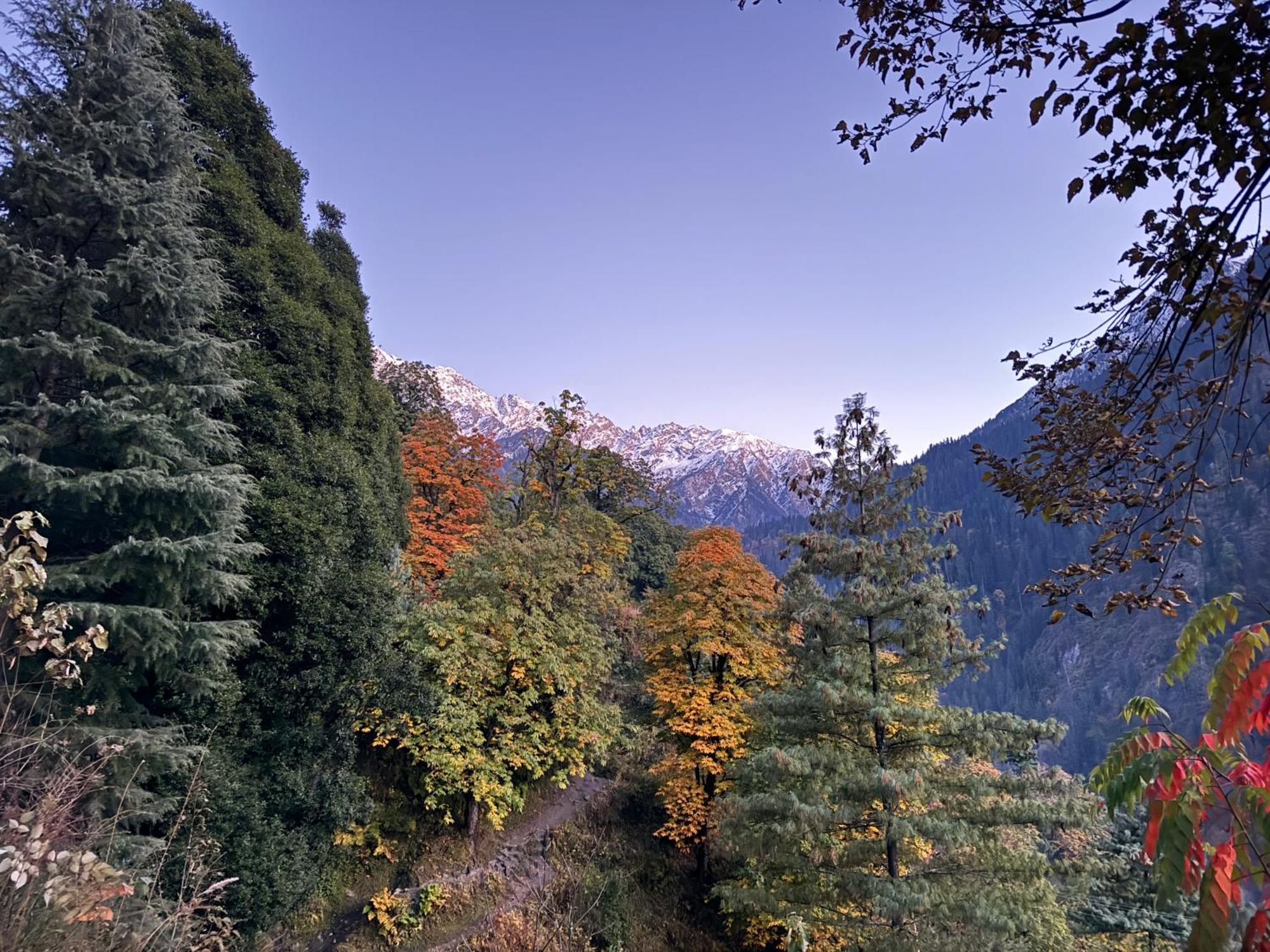 Delight Homestay Kasol Esterno foto